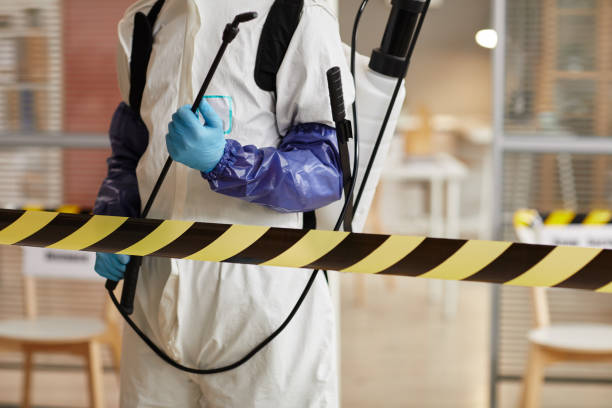 Professional Sewage Cleanup technician working in Raymondville, TX